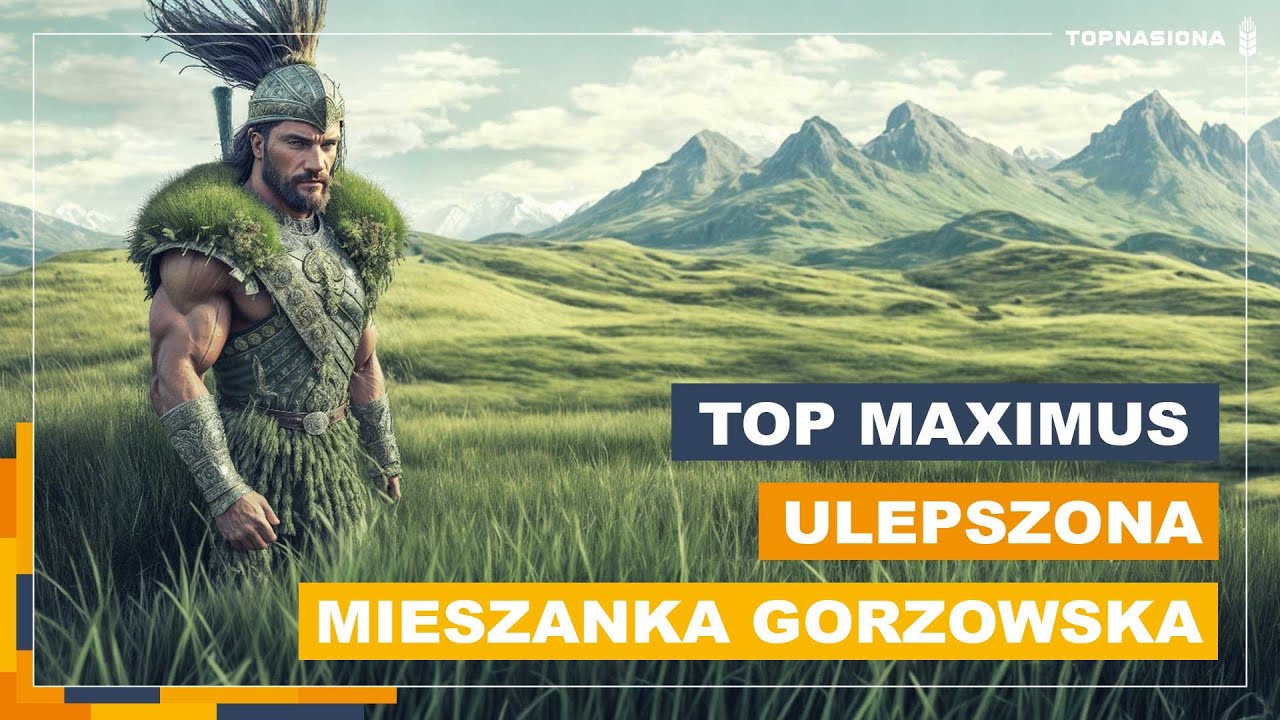 🌿 Ulepszona Mieszanka Gorzowska | Top Maximus