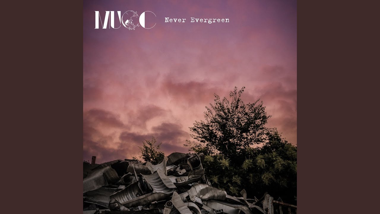 Never Evergreen