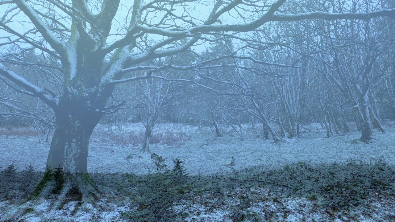 Winter's roar and mindful silence
