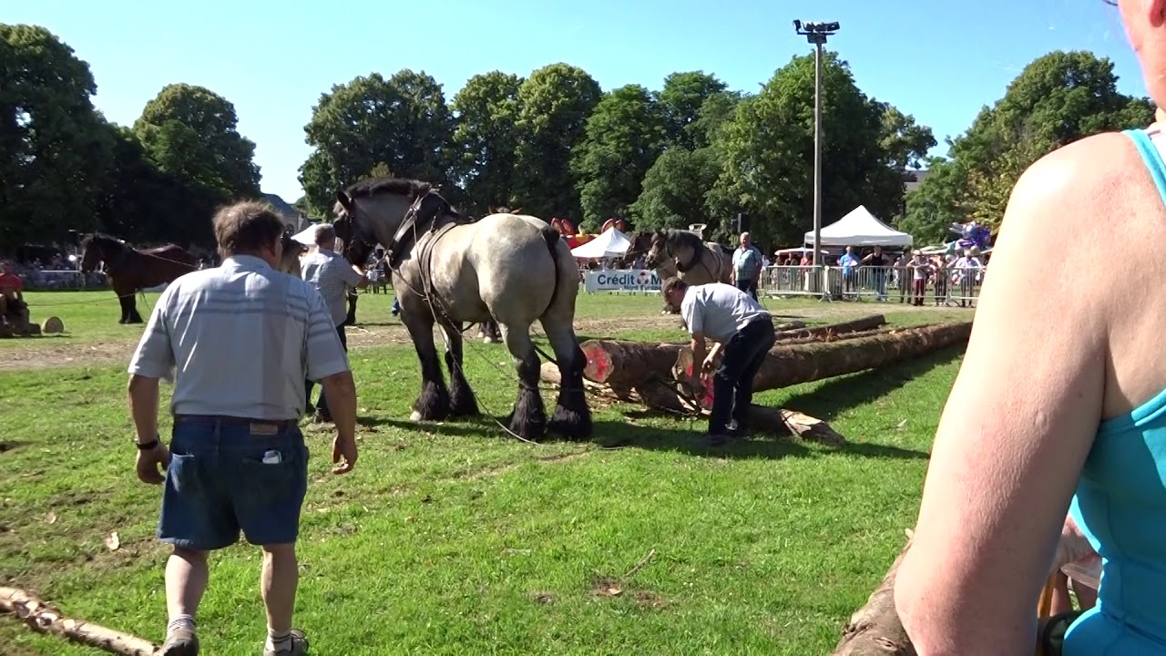 Concours de débardage Hargnies 2018