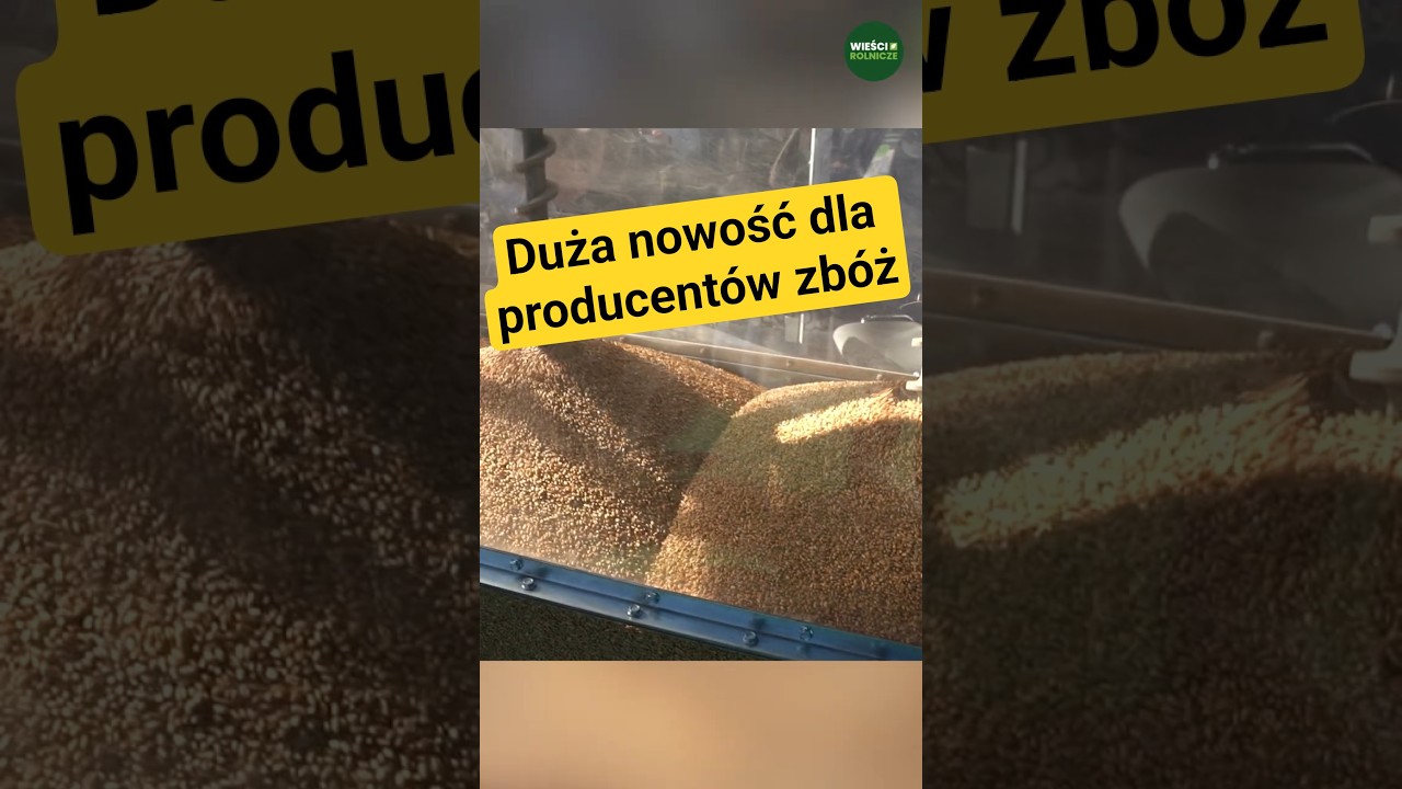 Niezwykły patent do suszenia zboża. Właśnie zadebiutował w Polsce