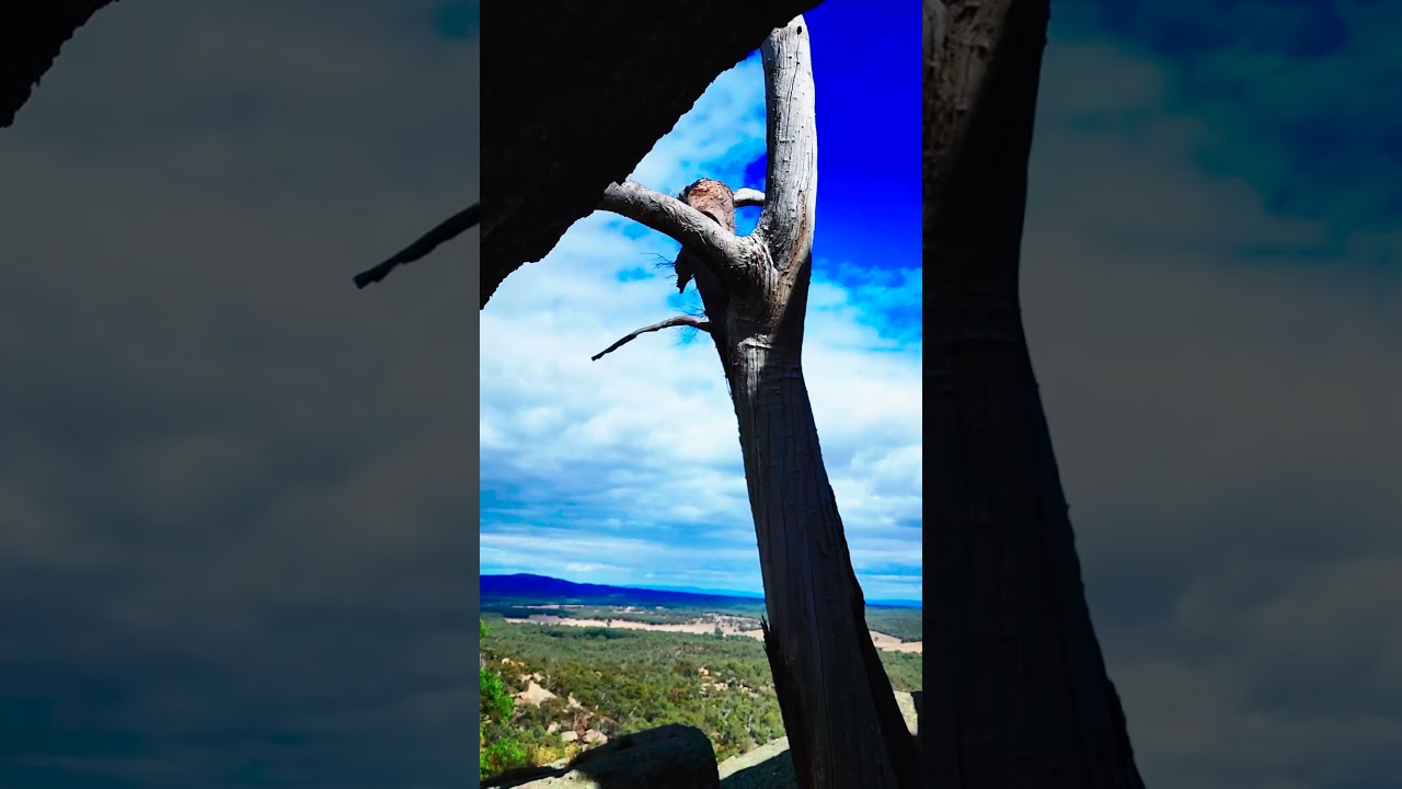 Visit Kooyoora State Park in the Loddon Valley #travelvideo #travelaustralia