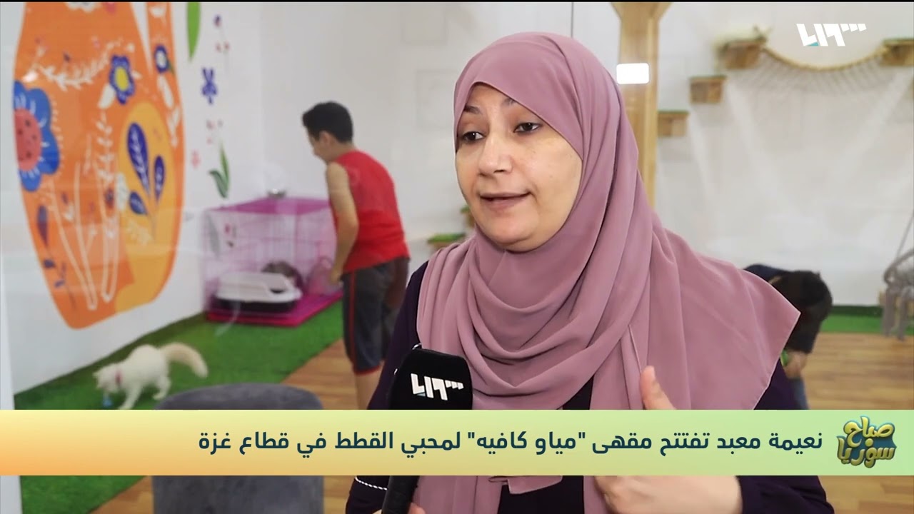 مياو كافيه مقهى لمحبي القطط في مدينة غزة