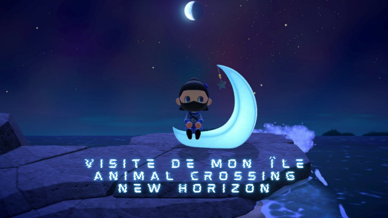 Présentation de mon ile animal crossing new horizon ( début - 2026 )