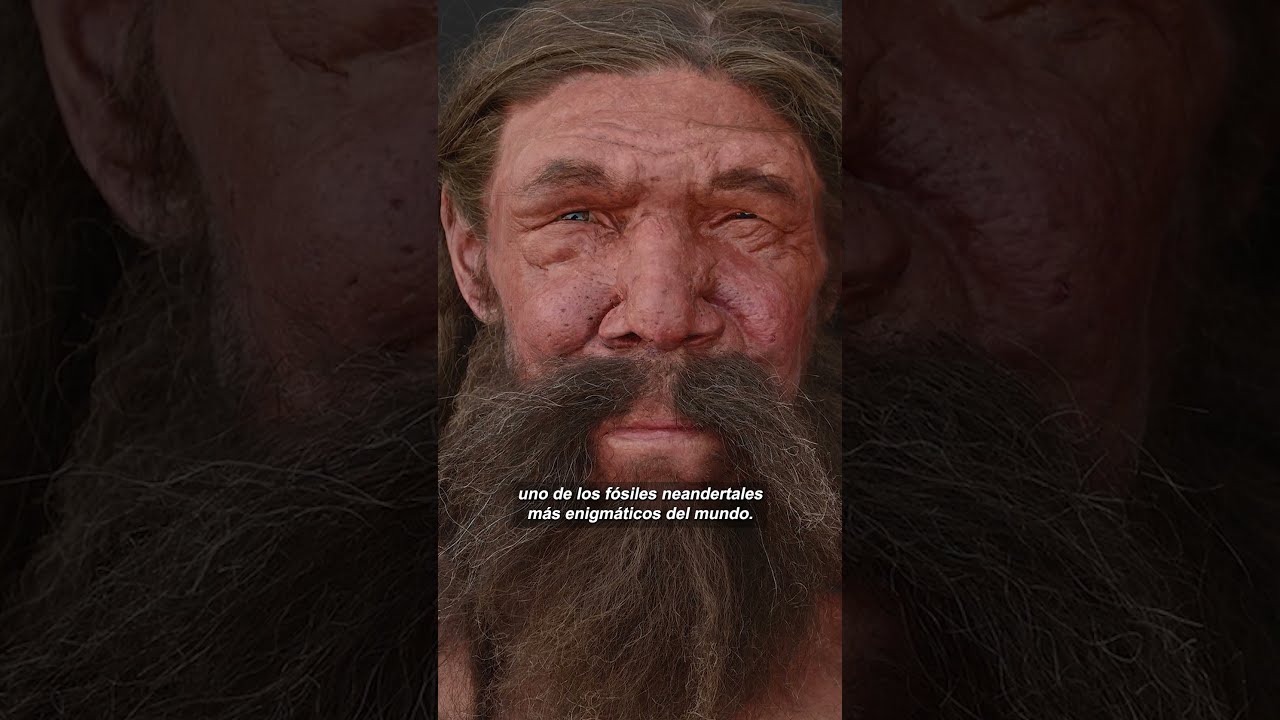 Consiguen reconstruir el cr&aacute;neo del hombre de Altamura, un Neandertal de hace 150.000 a&ntilde;os