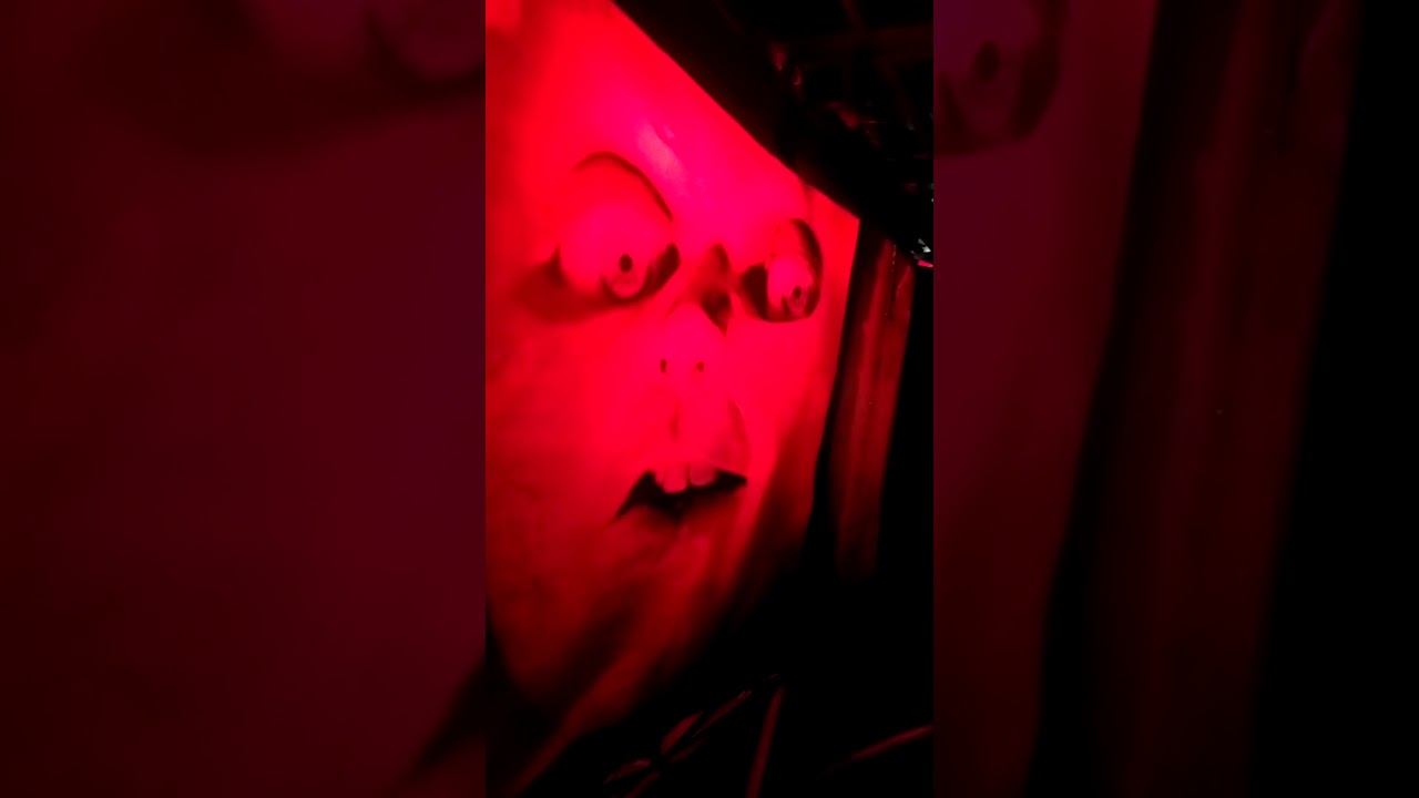 mansión del terror feria de Navidad Valencia  con Marc 2020