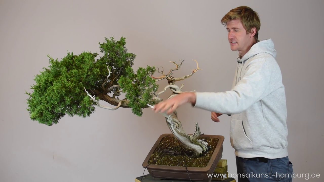 Bjorn Bjorholm Bonsai demo - BonsaiKunst