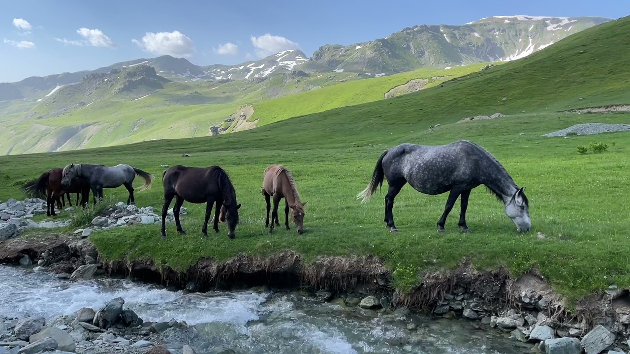 Bjeshkët e Sylbicës (Tropojë) @PROM-AL