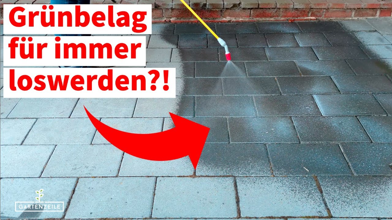 Nie wieder Grünbelag auf Steinen & Terrasse? Grünbelag vorbeugen mit Steinimprägnierung! Unser Test!
