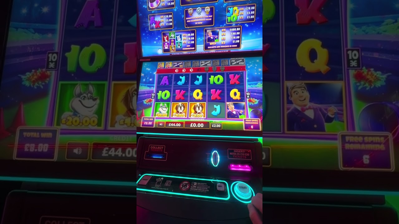 Prize Pooch Gamble to 20 Spins will be???