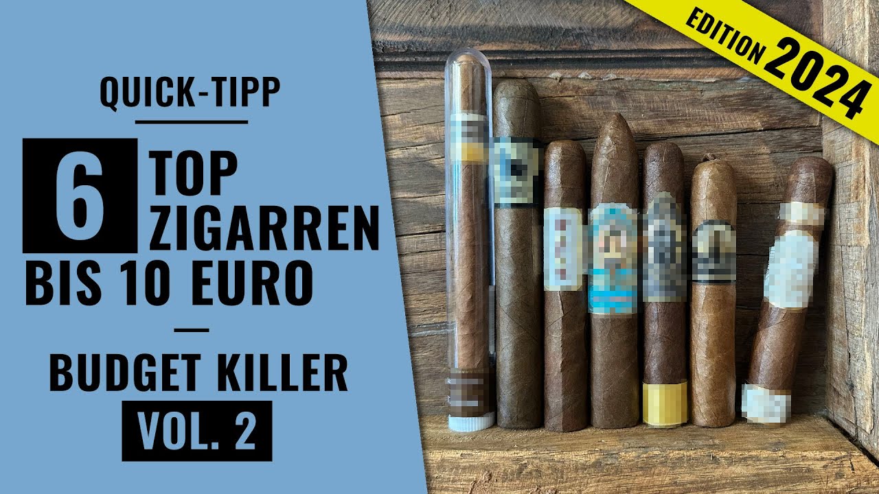 Die 6 TOP Zigarren bis 10 Euro - unsere Empfehlungen 2024 | Quick Tipp | Zigarren Review