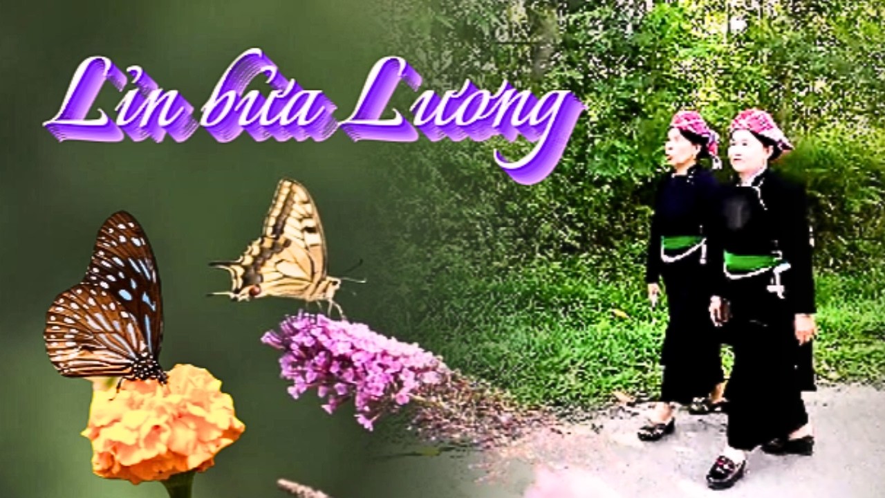 lỉn bửa lương