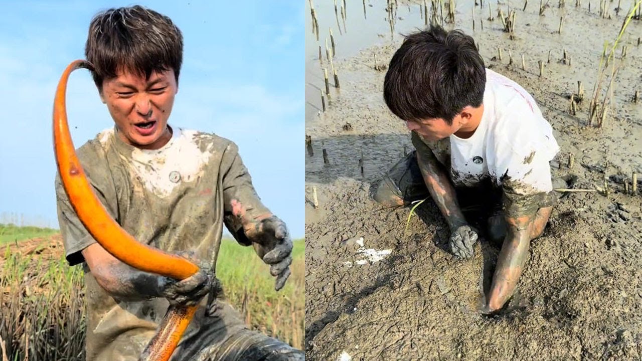 這是頭拱裂的地方，這是尾洞，這個鳝魚絕對很大很大#农村生活 #咱村小结巴 #搞笑 #food #熱門 #搞笑视频