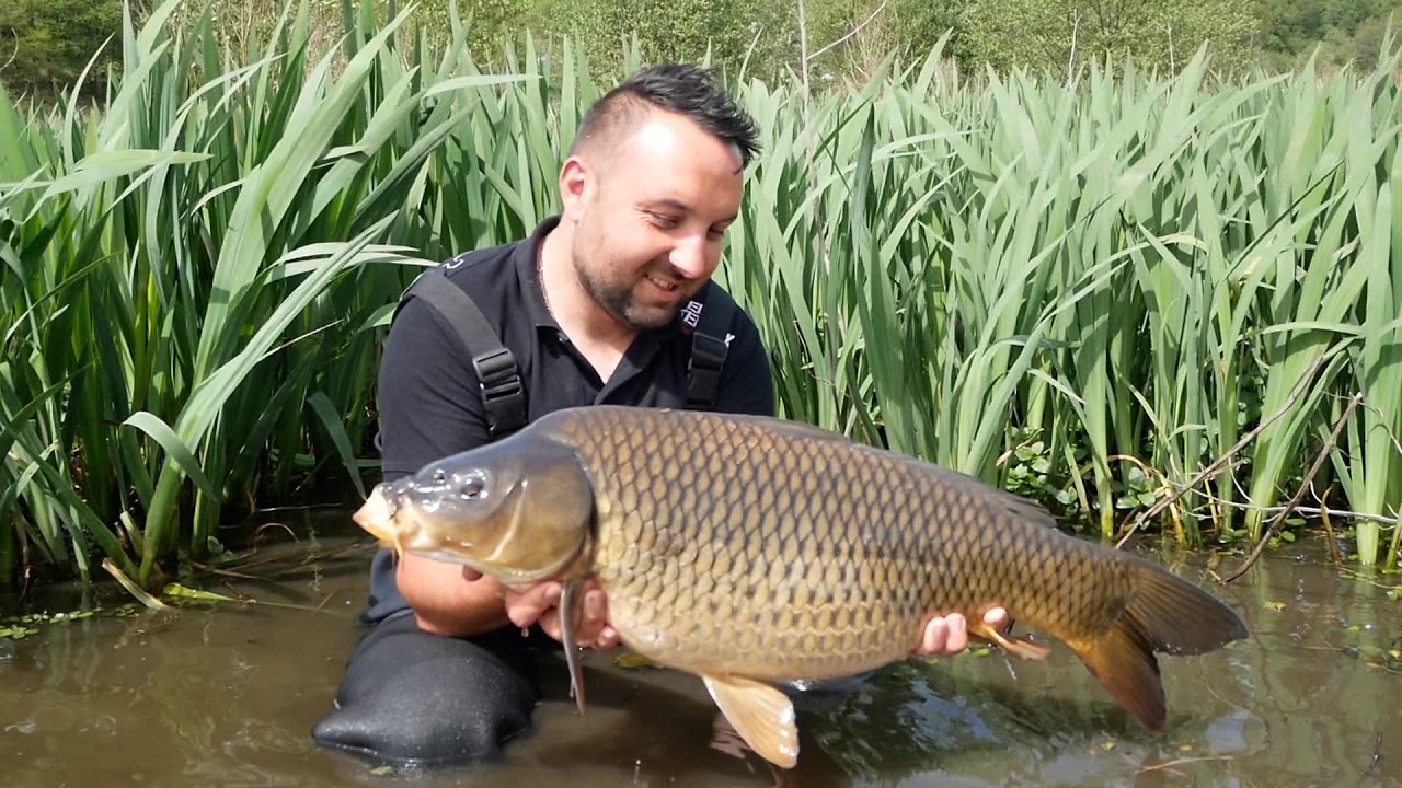 eddy sterckx france en immersion 48h carpes en rivière avec damien et bertrand et les secrets key