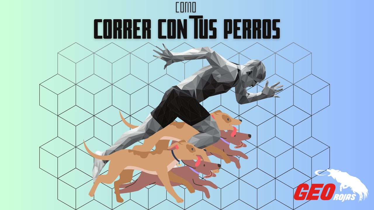 Tip: ¿Cómo correr con tu perro?, cómo entrenar a tu perro para correr 4 perros