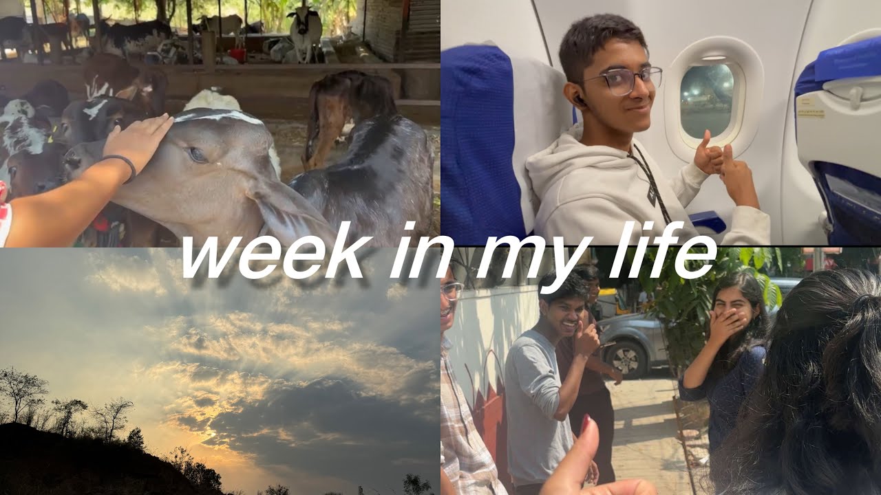 A Week In My Life | Travelling, College work and Meeting friends