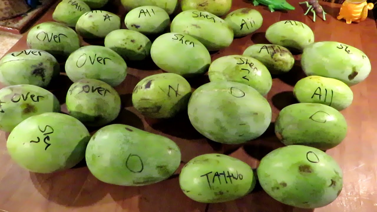 Pawpaws From the York, PA Pawpaw Festival!