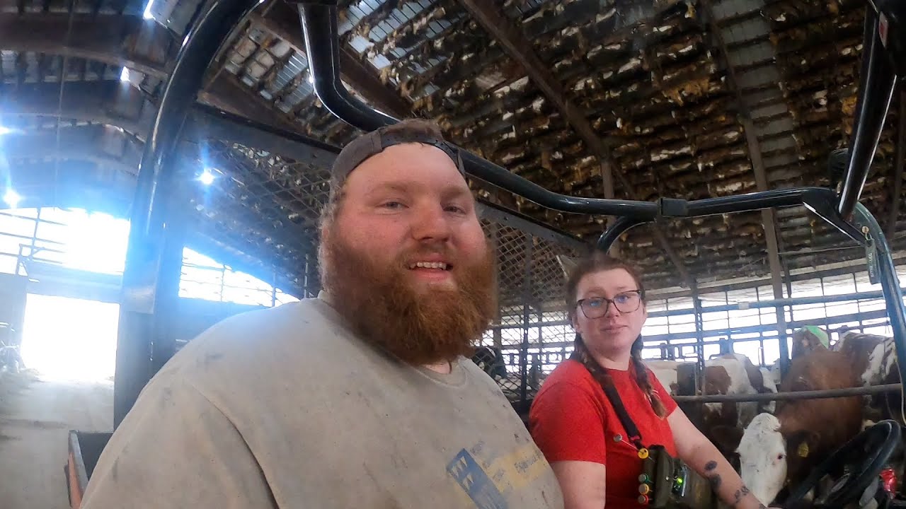 Sunny and 70 In March? | Dairy Farming In Wisconsin