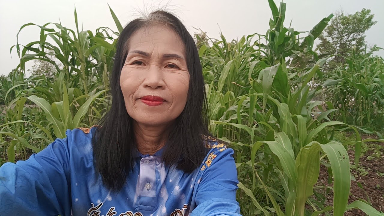 สด เข้าสวนปลูกผักด้วยกันจ้า