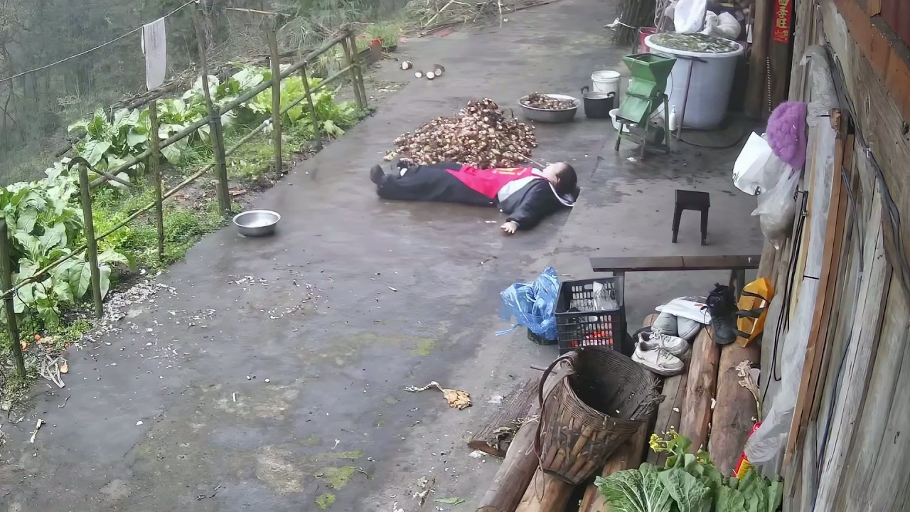 盘点监控拍下的离谱瞬间，都是生活中真实发生的搞笑镜头