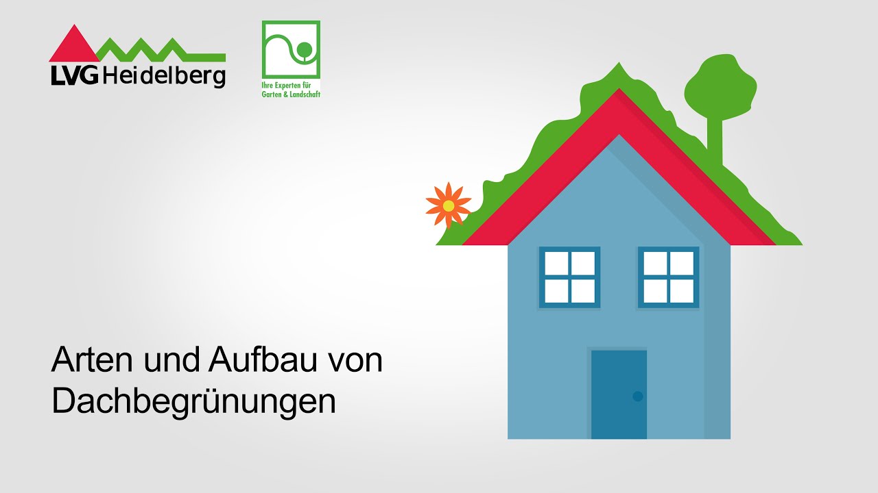 Aufbau und Arten von Dachbegrünungen