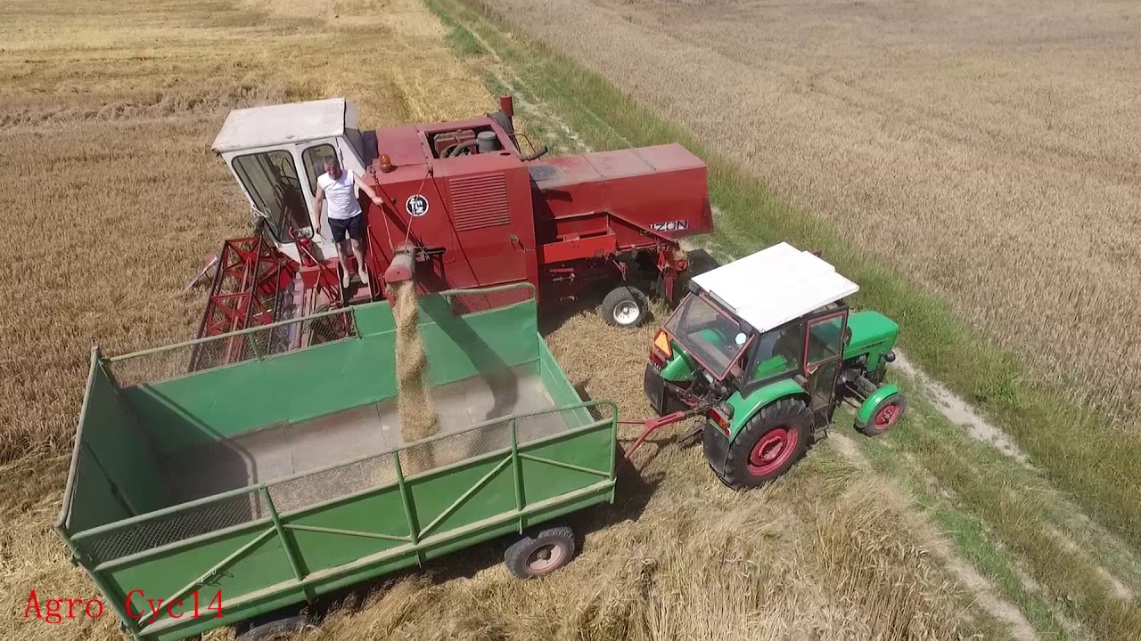 Polskie żniwa 2017 - Bizon Z056, Ursus C-360