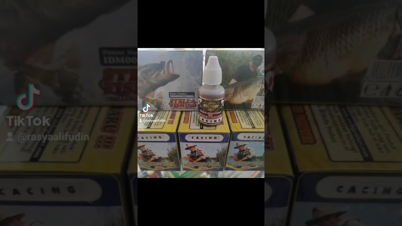 Essen pancing CACING Stella #Mancing #mancingmania #essenpancing #alatpancing