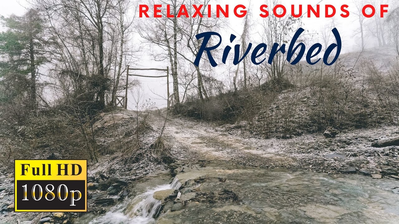 White Noise from the River | Snowy Winter Day in the Nature of Switzerland -  Sound of Water