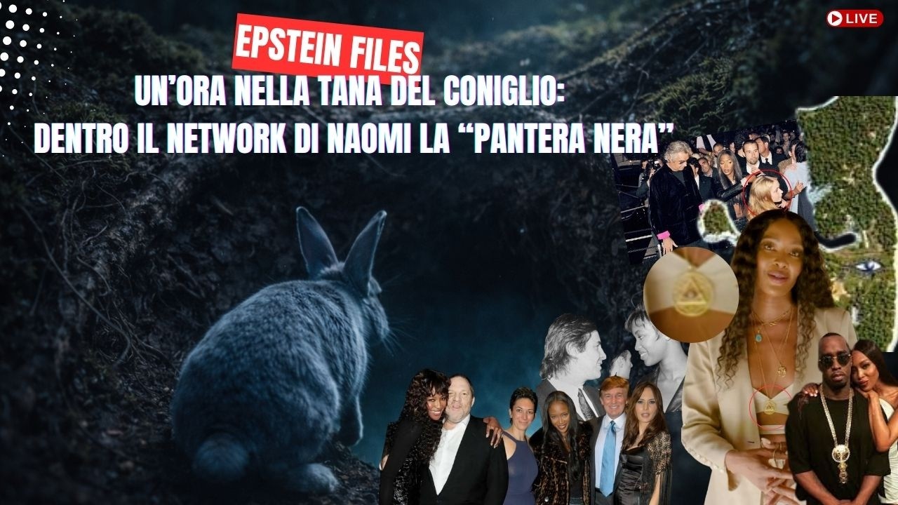 Un' ora nella tana del coniglio: dentro il network di Naomi la “pantera nera”