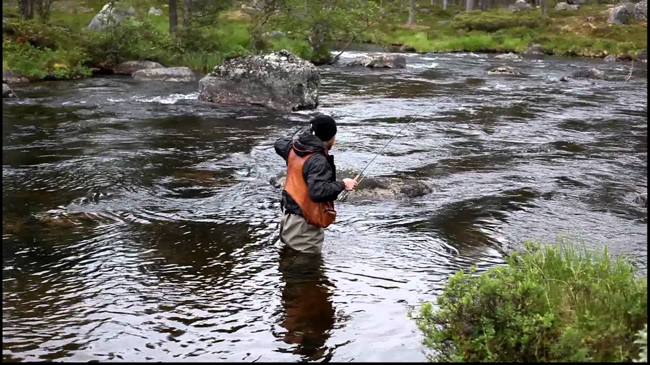 öring i storån
