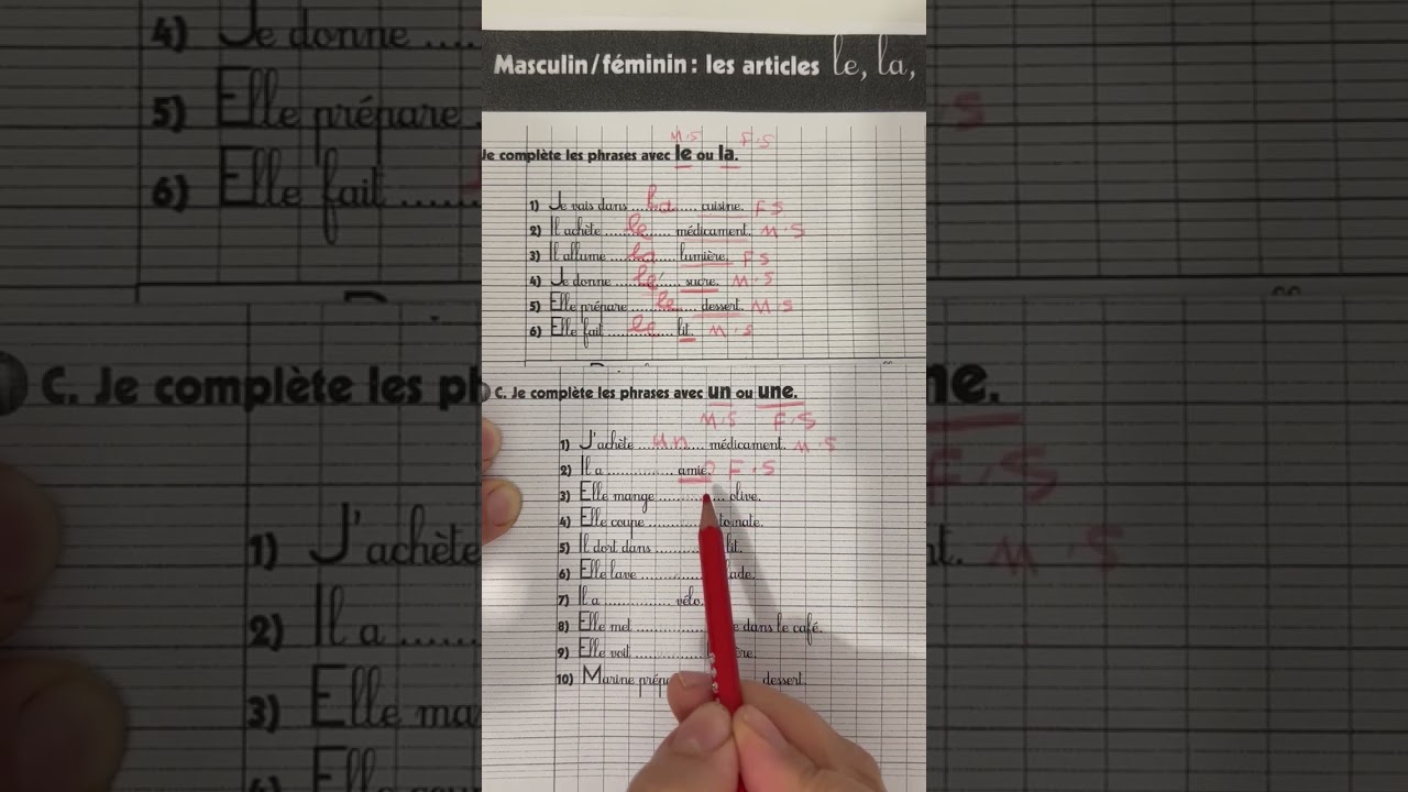 Exercices sur les articles définis et indéfinis