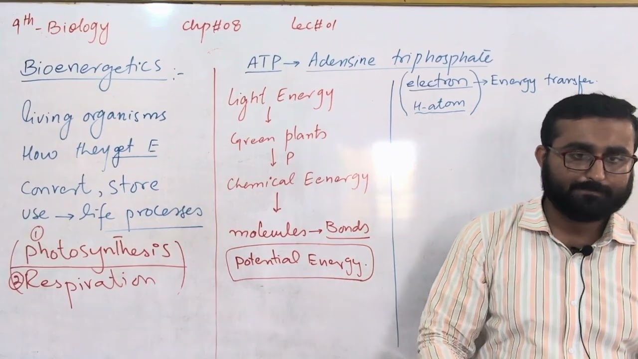 Биоэнергетика chp8 lec 1