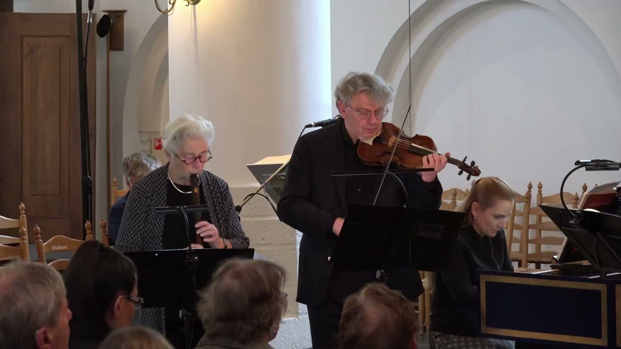 Vivaldi RV 105 1st movement
