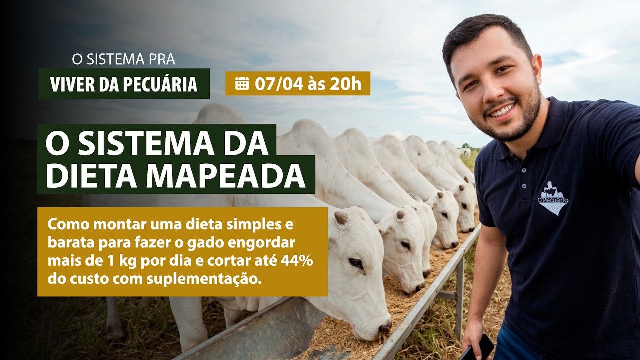 AULA 02: O SISTEMA DA DIETA MAPEADA