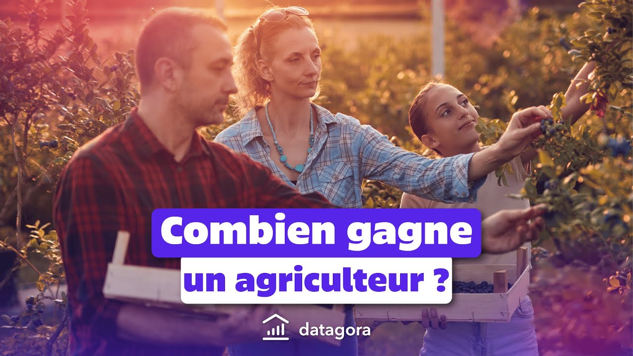 Combien gagne un agriculteur en France ?