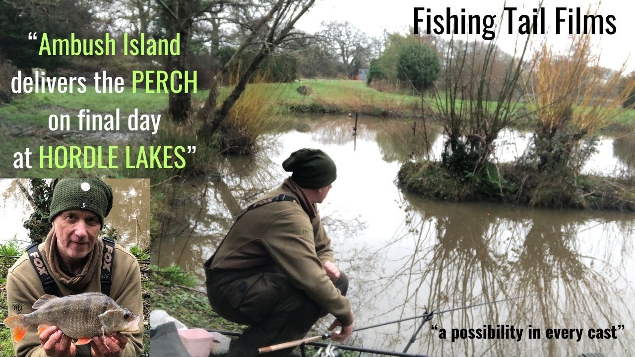 Ambush Island produces the PERCH at Hordle Lakes 