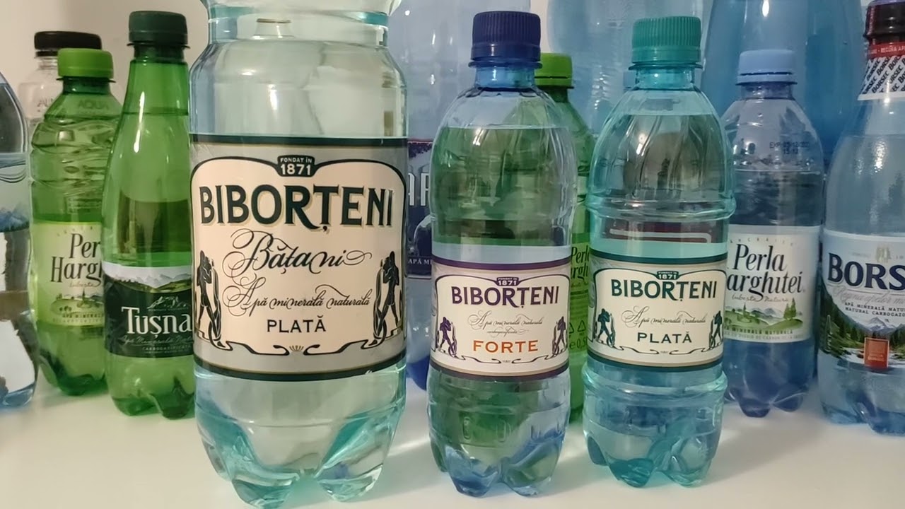 BIBORȚENI SA NU VA LIPSEASCĂ