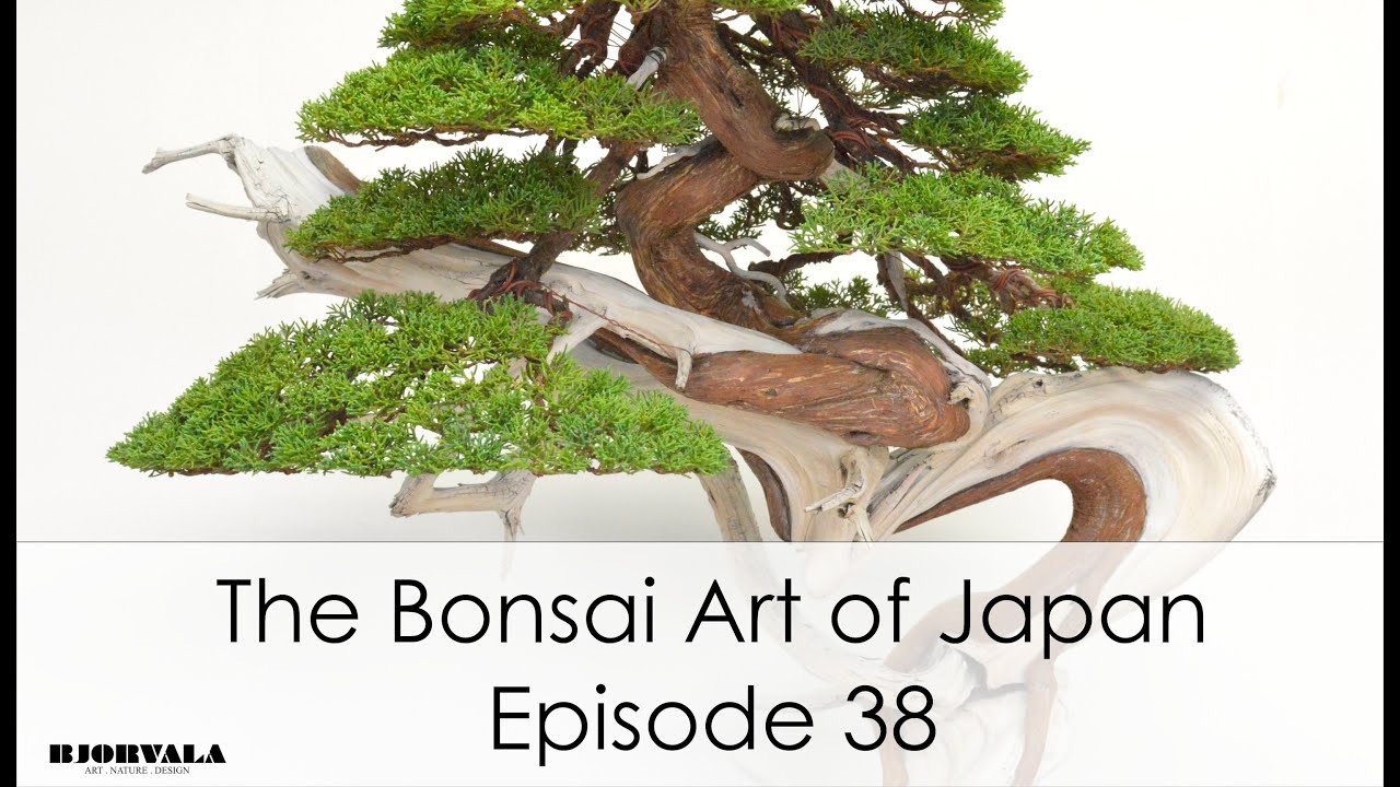 The Bonsai Art of Japan - Episode 38