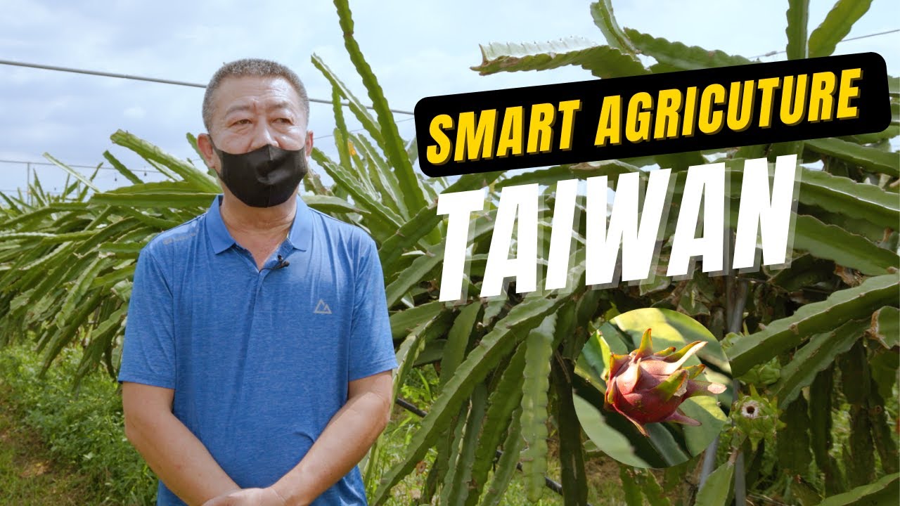 Smart Agriculture: Dragon Fruit