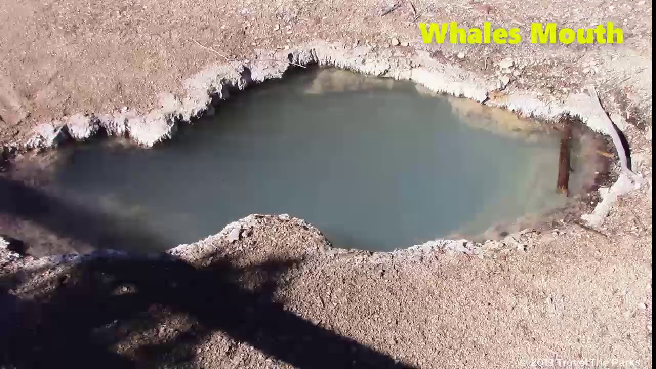 Porcelain Geyser Basin, Yellowstone