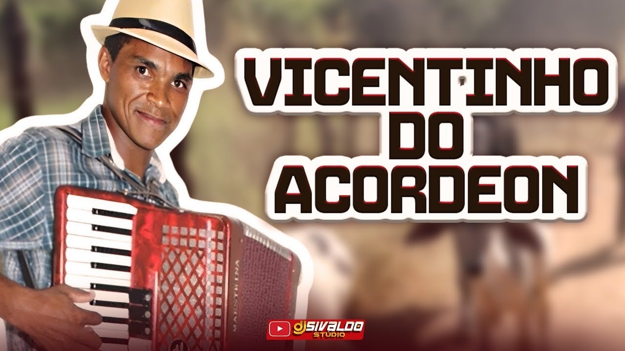 VICENTINHO DO ACORDEON - NO MELHOR DO FORRÓ ( SÓ SUCESSOS AO VIVO )