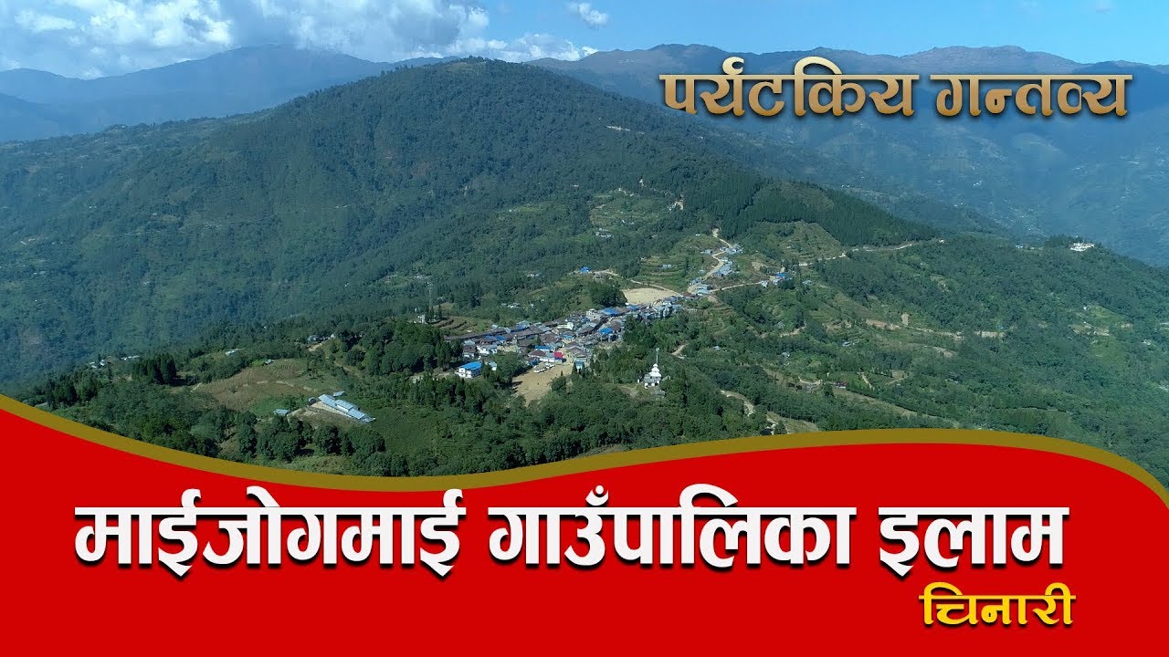 ILAM MAIJOGMAI GAUNPALIKA ll INTRODUCTION ll इलाम माईजोगमाई गाउँपालिकाको एक चिनारी ।