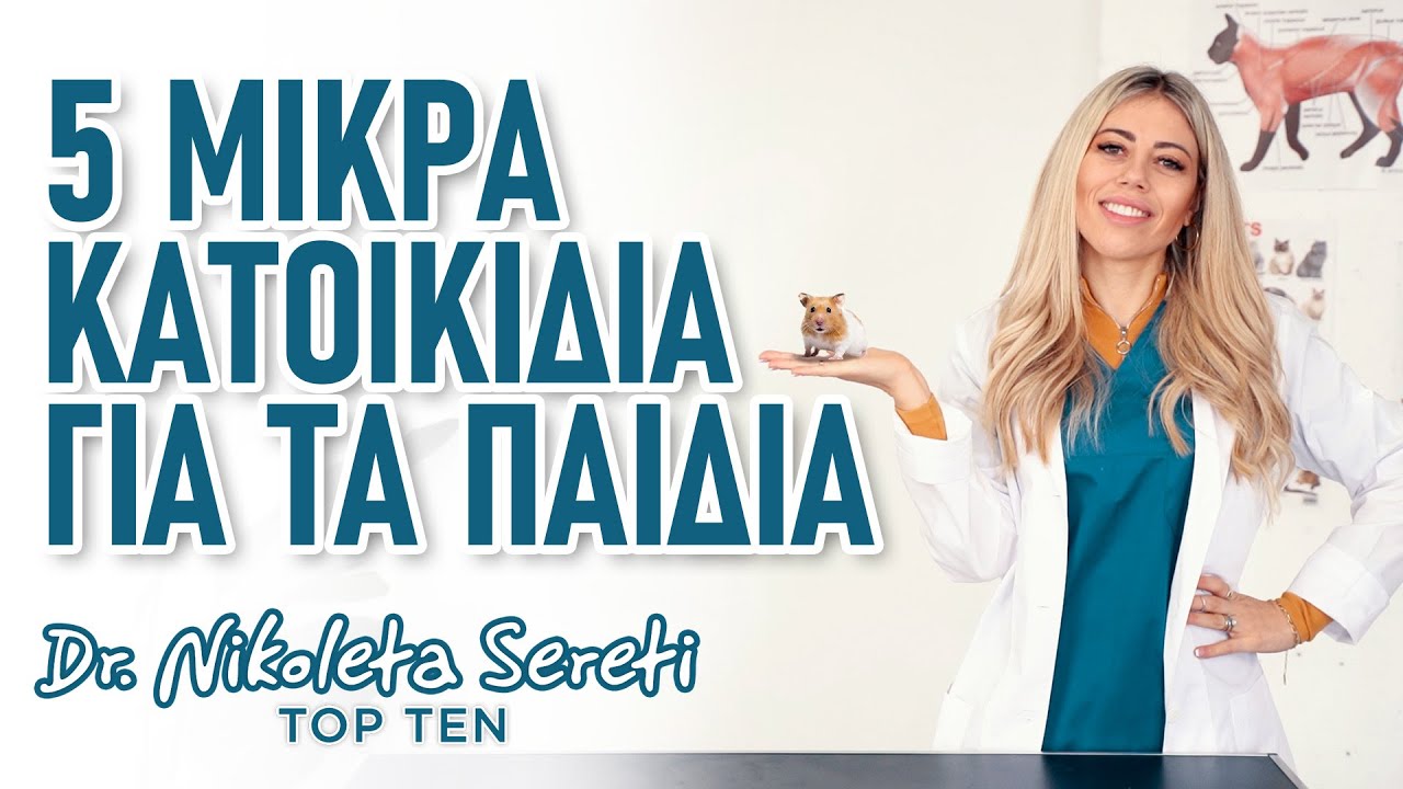 5 μικρόσωμα κατοικίδια ζώα κατάλληλα για μεγάλους και παιδιά!!