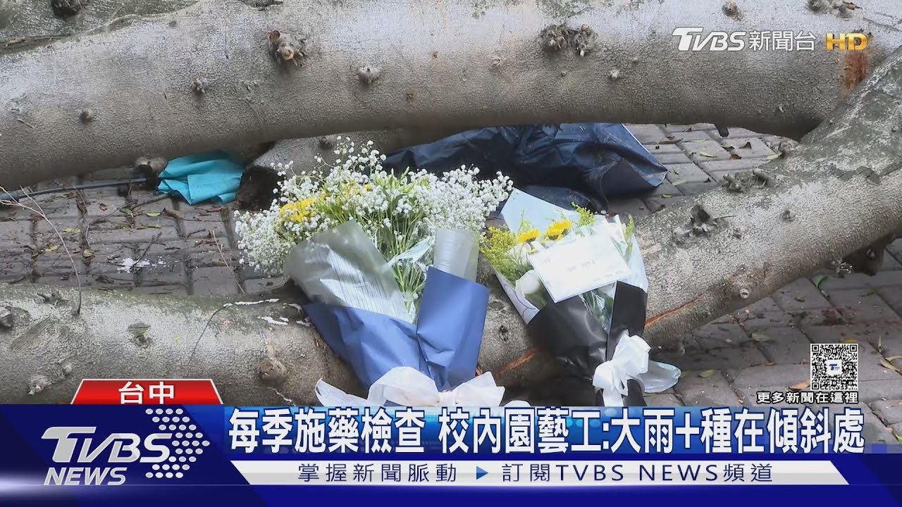 逢甲大學樹倒 壓斷碩一生人生路 鮮花.蠟燭悼念｜TVBS新聞 @TVBSNEWS01