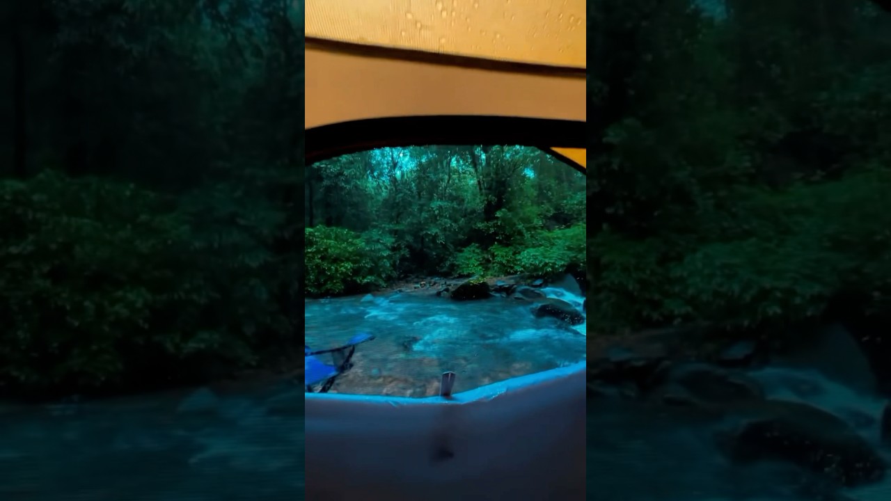 Wait for the view 🏕️🌧️😍 #monsooncamping #naturelovers #rainasmr #pahaad