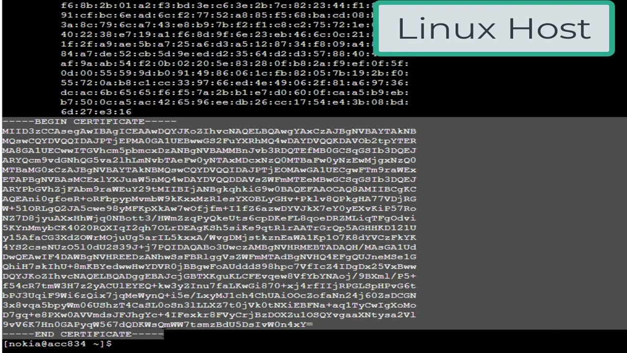 Nokia SR Linux System: Enabling gNMI
