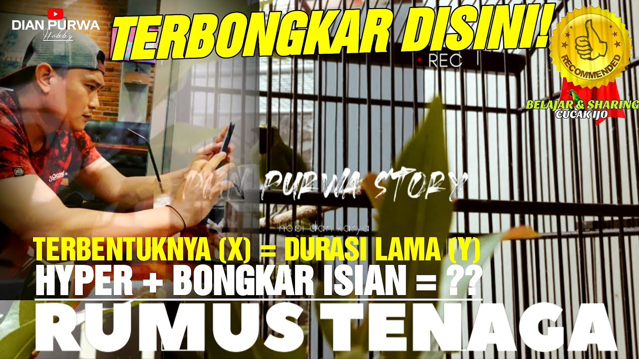 TERBONGKAR NYATA❗RUMUS BENTUK TENAGA  PENTING🔥JADI CUCAK IJO HYPER,BONGKAR ISIAN TERBENTUKNYA DURASI