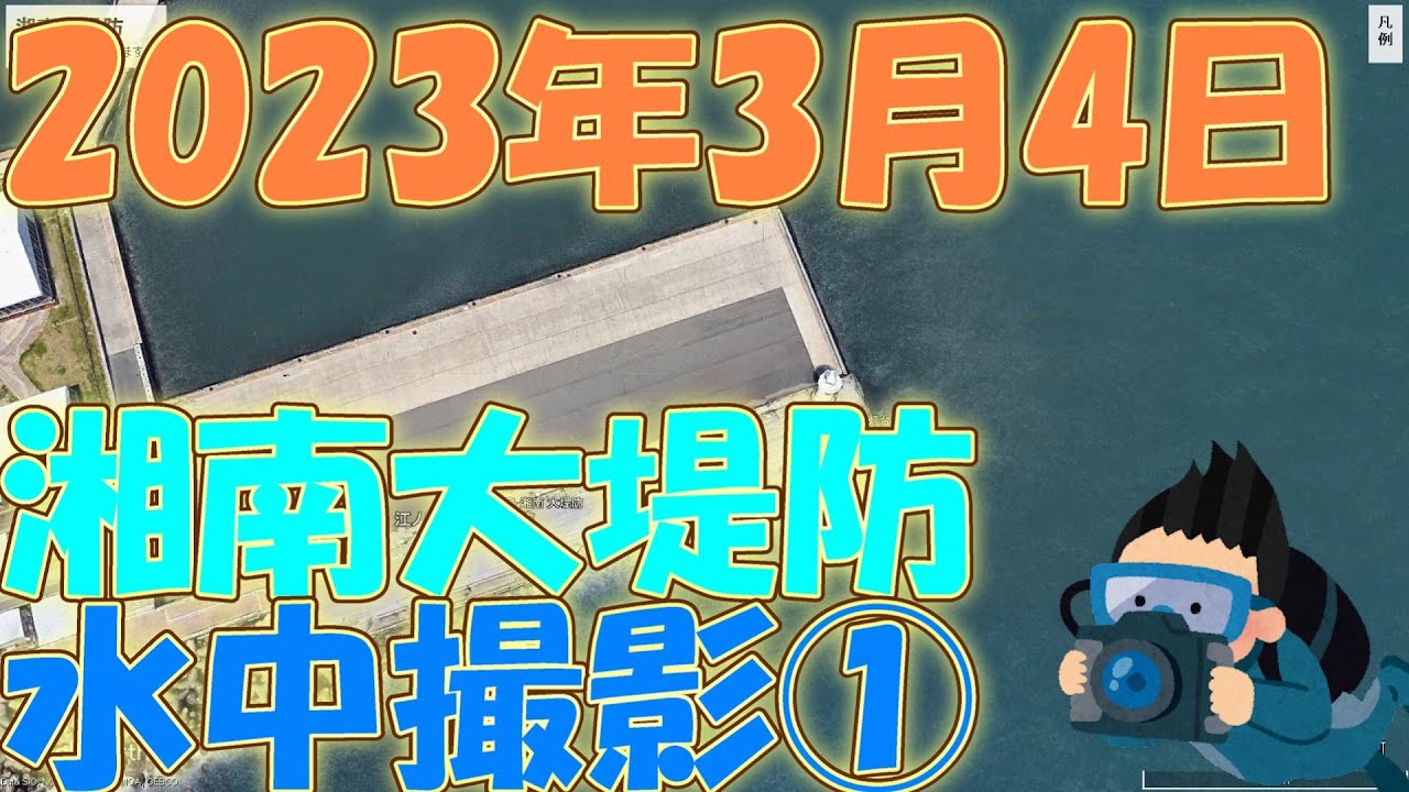 【江の島】湘南大堤防釣り場水中撮影2023年3月4日