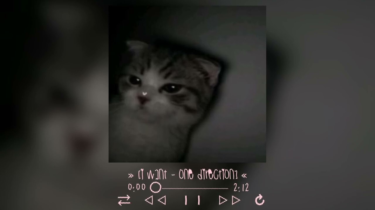 i want - one direction (sped up)
