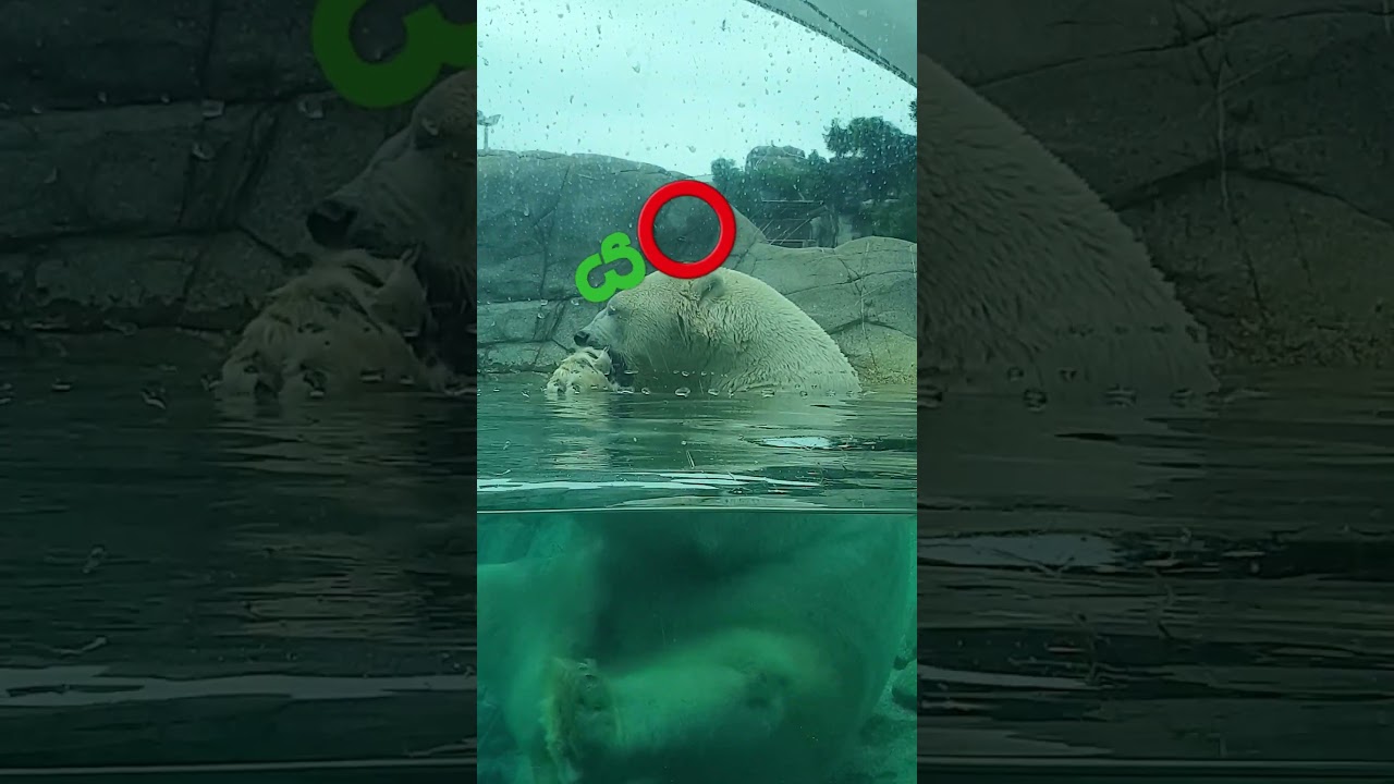 ය⭕